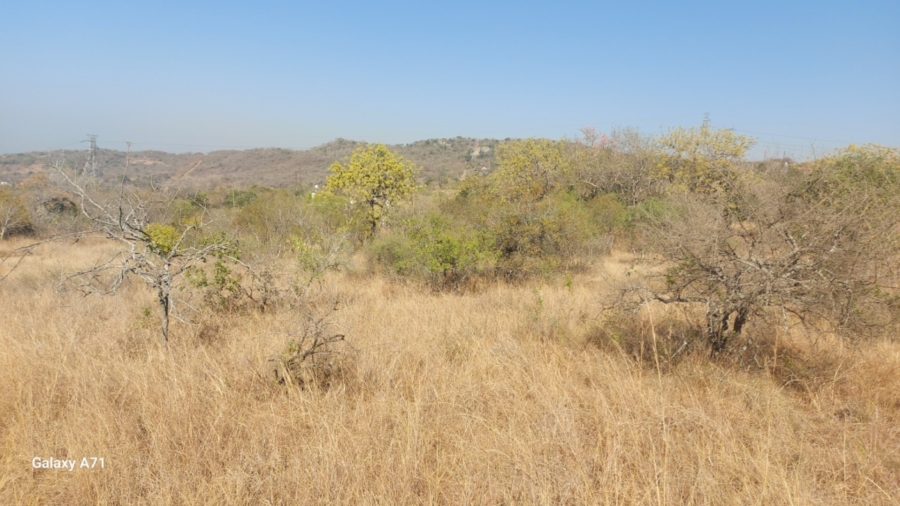 0 Bedroom Property for Sale in Bundu Wildlife Estate Mpumalanga