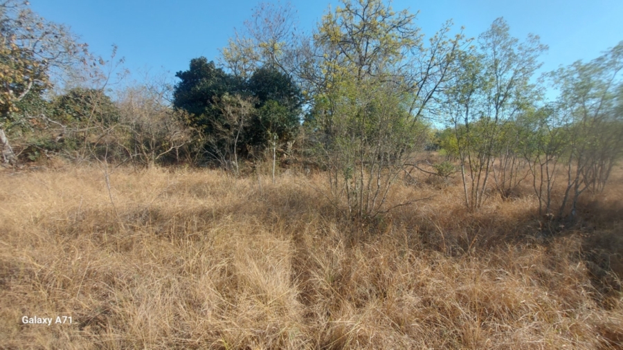 0 Bedroom Property for Sale in Bundu Wildlife Estate Mpumalanga