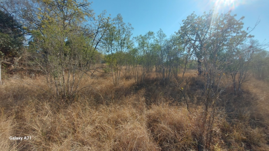 0 Bedroom Property for Sale in Bundu Wildlife Estate Mpumalanga