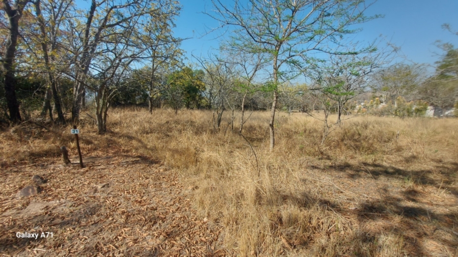 0 Bedroom Property for Sale in Bundu Wildlife Estate Mpumalanga