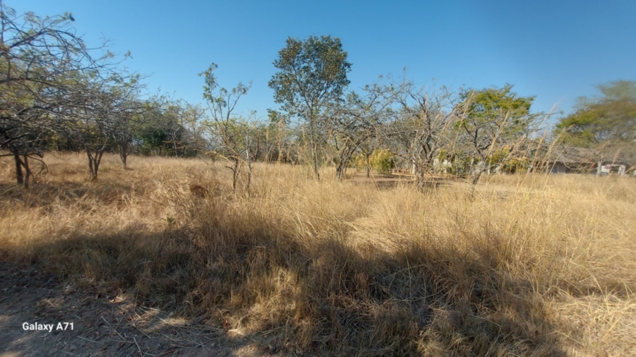 0 Bedroom Property for Sale in Bundu Wildlife Estate Mpumalanga