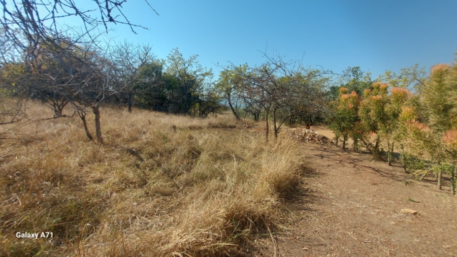 0 Bedroom Property for Sale in Bundu Wildlife Estate Mpumalanga