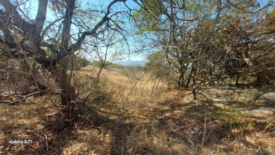 0 Bedroom Property for Sale in Bundu Wildlife Estate Mpumalanga