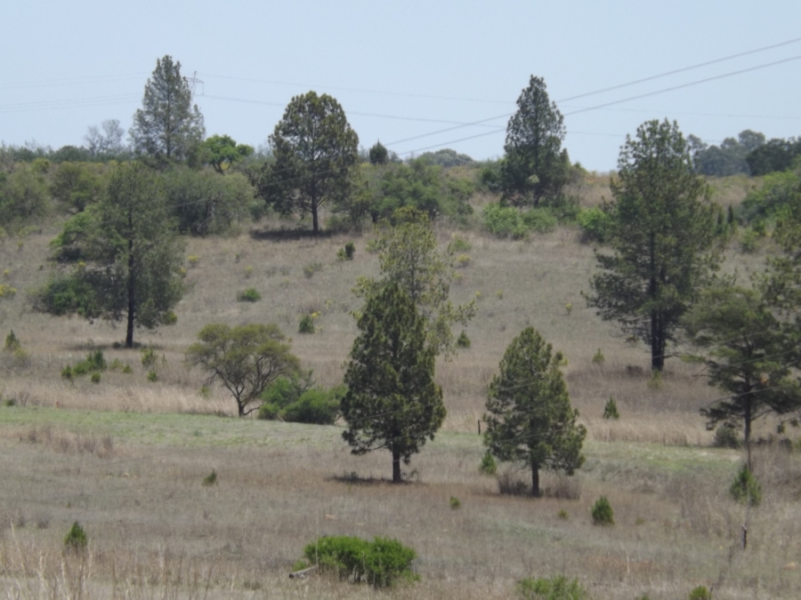 Commercial Property for Sale in Lydenburg Mpumalanga