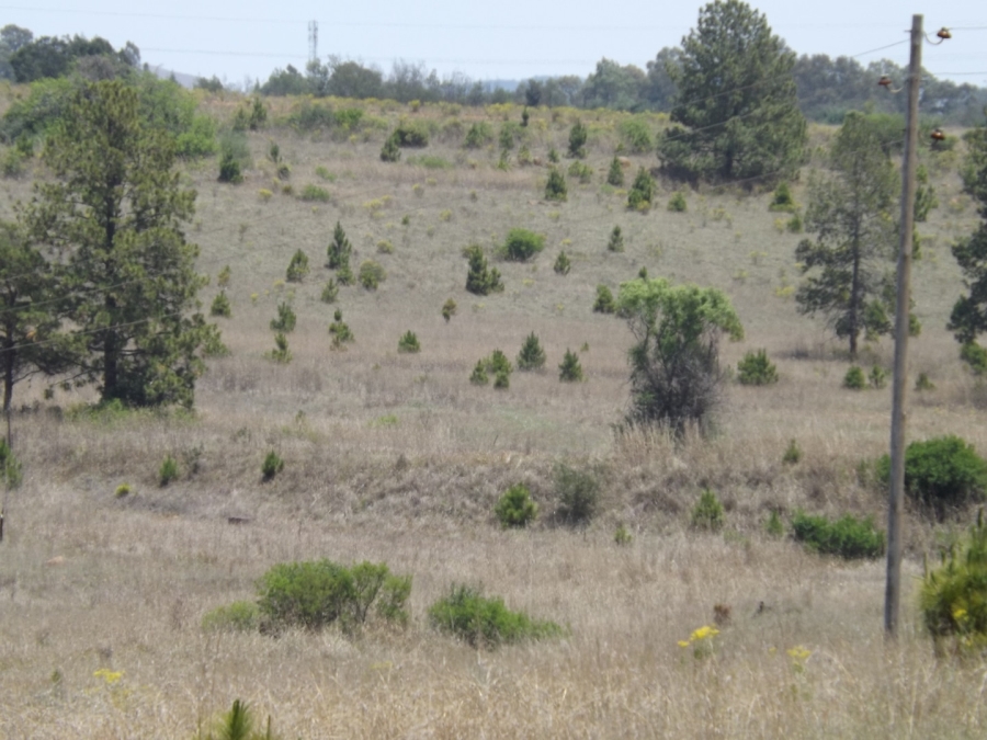 Commercial Property for Sale in Lydenburg Mpumalanga