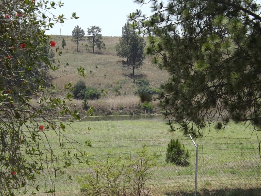 Commercial Property for Sale in Lydenburg Mpumalanga