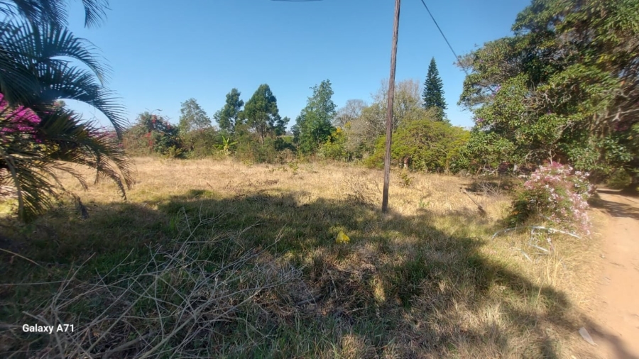0 Bedroom Property for Sale in White River Mpumalanga