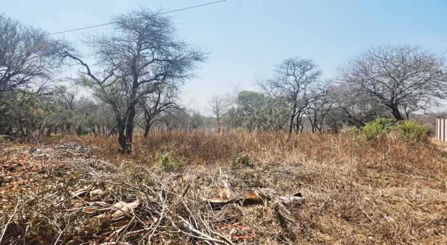 0 Bedroom Property for Sale in Hectorspruit Mpumalanga