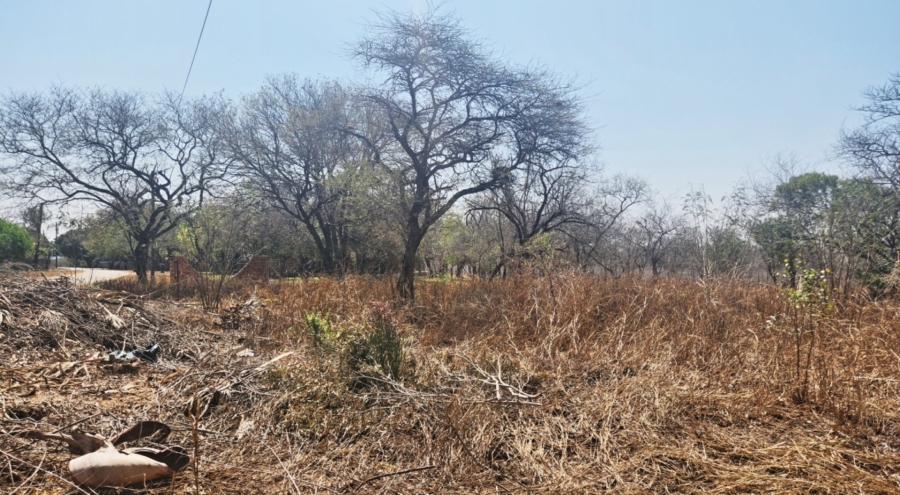 0 Bedroom Property for Sale in Hectorspruit Mpumalanga