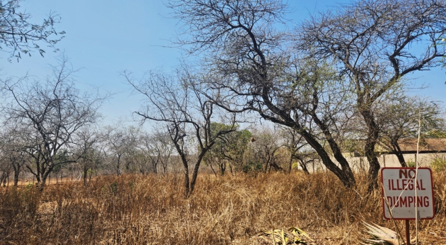 0 Bedroom Property for Sale in Hectorspruit Mpumalanga