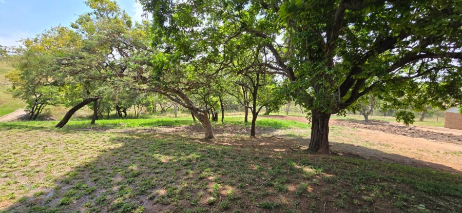 To Let 2 Bedroom Property for Rent in Bateleur Estate Mpumalanga