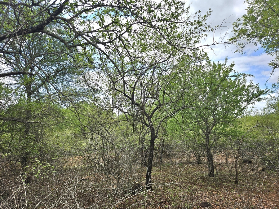 0 Bedroom Property for Sale in Marloth Park Mpumalanga