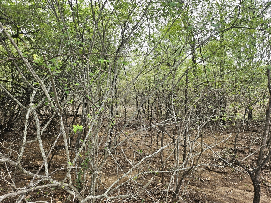 0 Bedroom Property for Sale in Marloth Park Mpumalanga