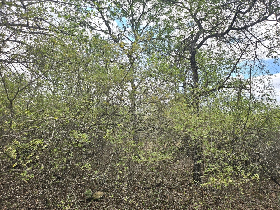 0 Bedroom Property for Sale in Marloth Park Mpumalanga