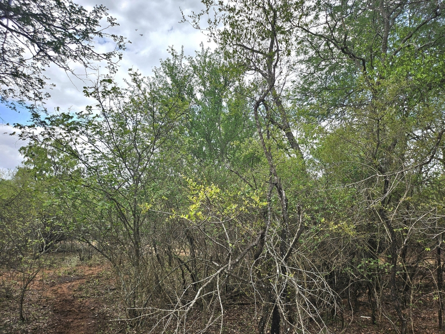 0 Bedroom Property for Sale in Marloth Park Mpumalanga