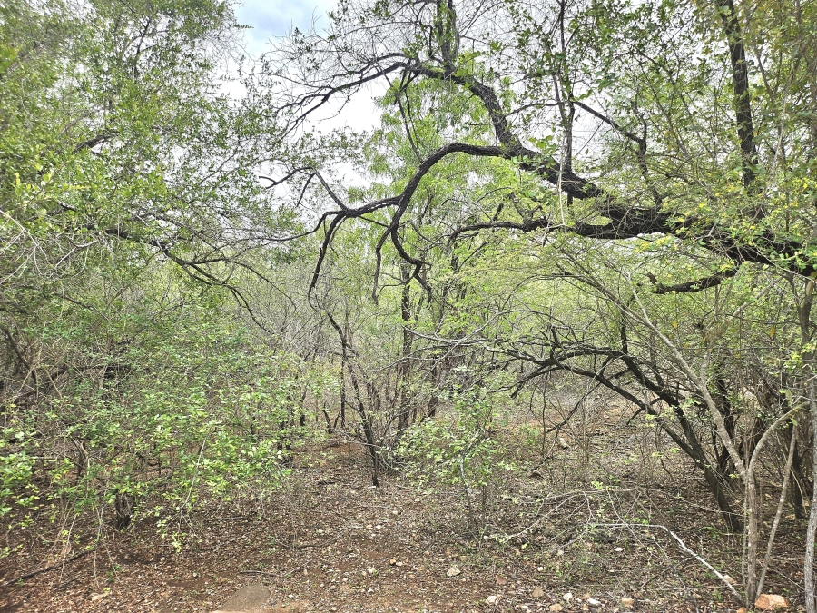 0 Bedroom Property for Sale in Marloth Park Mpumalanga