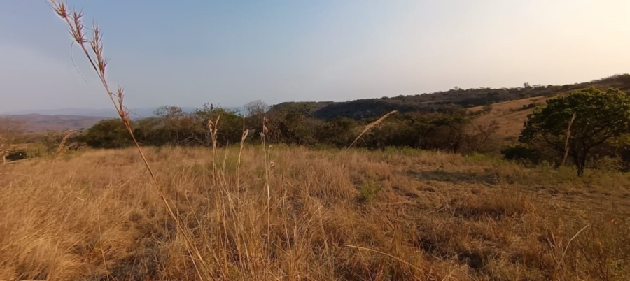 0 Bedroom Property for Sale in Wild Fig Country Estate Mpumalanga