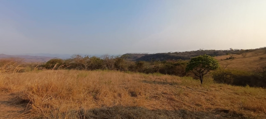 0 Bedroom Property for Sale in Wild Fig Country Estate Mpumalanga