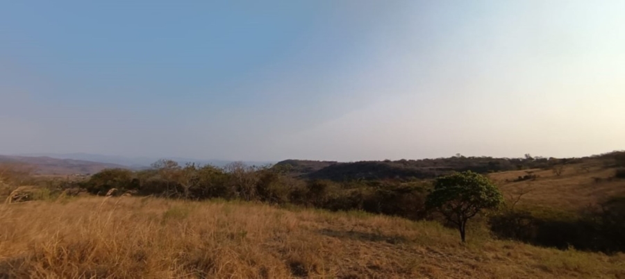 0 Bedroom Property for Sale in Wild Fig Country Estate Mpumalanga
