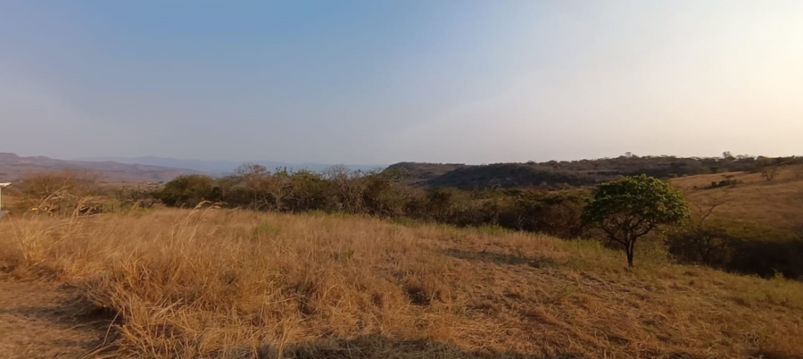 0 Bedroom Property for Sale in Wild Fig Country Estate Mpumalanga