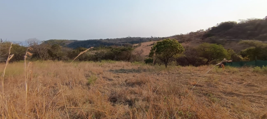 0 Bedroom Property for Sale in Wild Fig Country Estate Mpumalanga