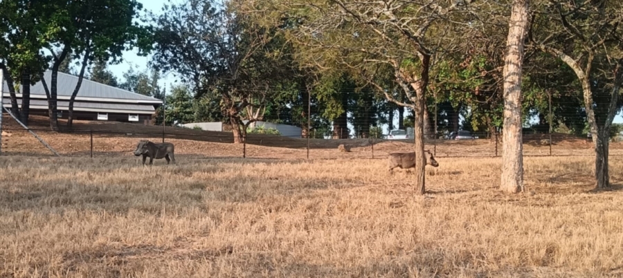 0 Bedroom Property for Sale in Wild Fig Country Estate Mpumalanga