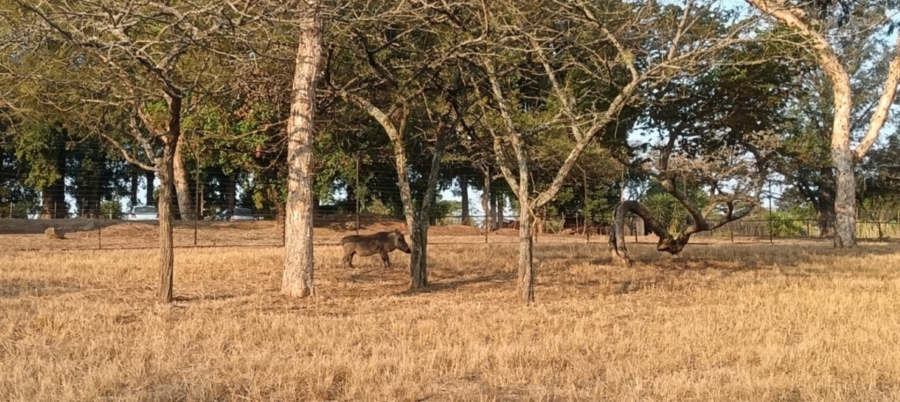 0 Bedroom Property for Sale in Wild Fig Country Estate Mpumalanga