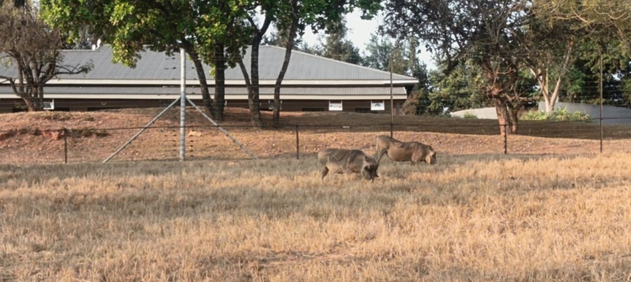 0 Bedroom Property for Sale in Wild Fig Country Estate Mpumalanga