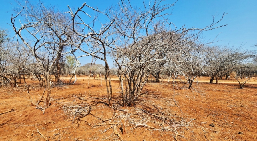 0 Bedroom Property for Sale in Marloth Park Mpumalanga