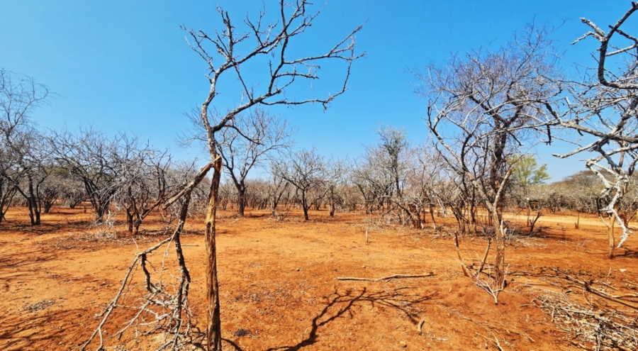 0 Bedroom Property for Sale in Marloth Park Mpumalanga