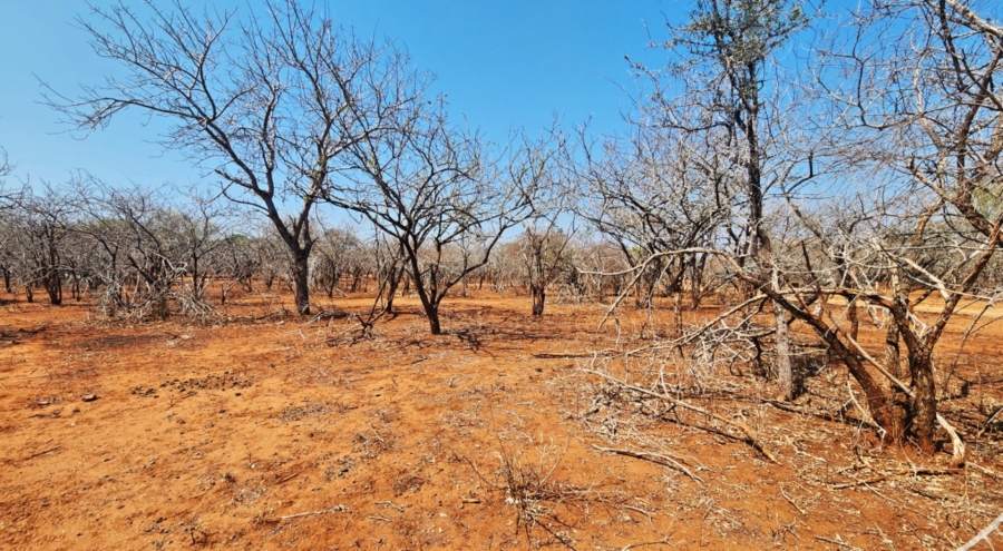 0 Bedroom Property for Sale in Marloth Park Mpumalanga