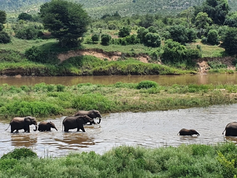 0 Bedroom Property for Sale in Malelane Rural Mpumalanga