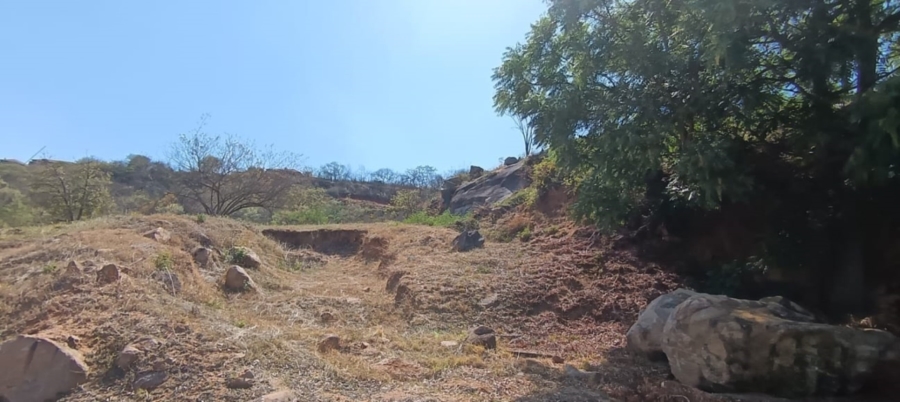 0 Bedroom Property for Sale in Drum Rock Mpumalanga