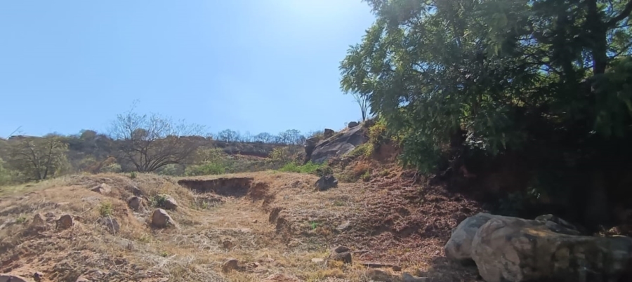 0 Bedroom Property for Sale in Drum Rock Mpumalanga