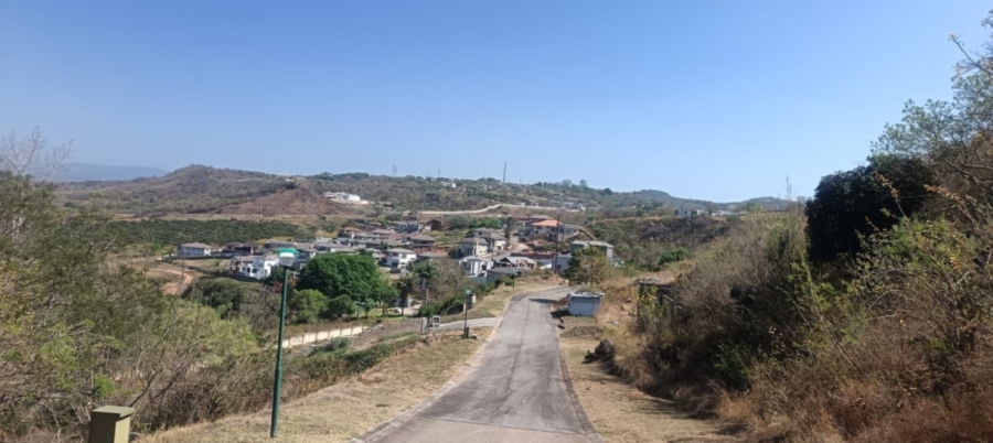 0 Bedroom Property for Sale in Drum Rock Mpumalanga