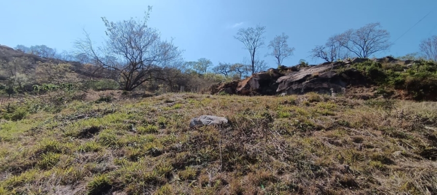 0 Bedroom Property for Sale in Drum Rock Mpumalanga