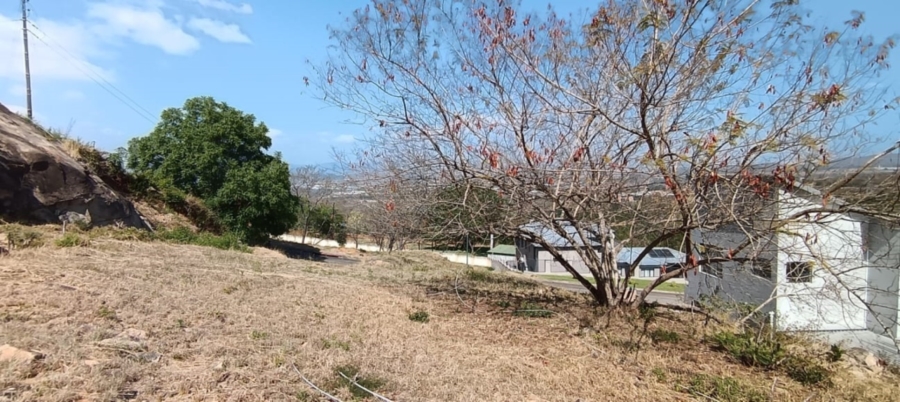 0 Bedroom Property for Sale in Drum Rock Mpumalanga