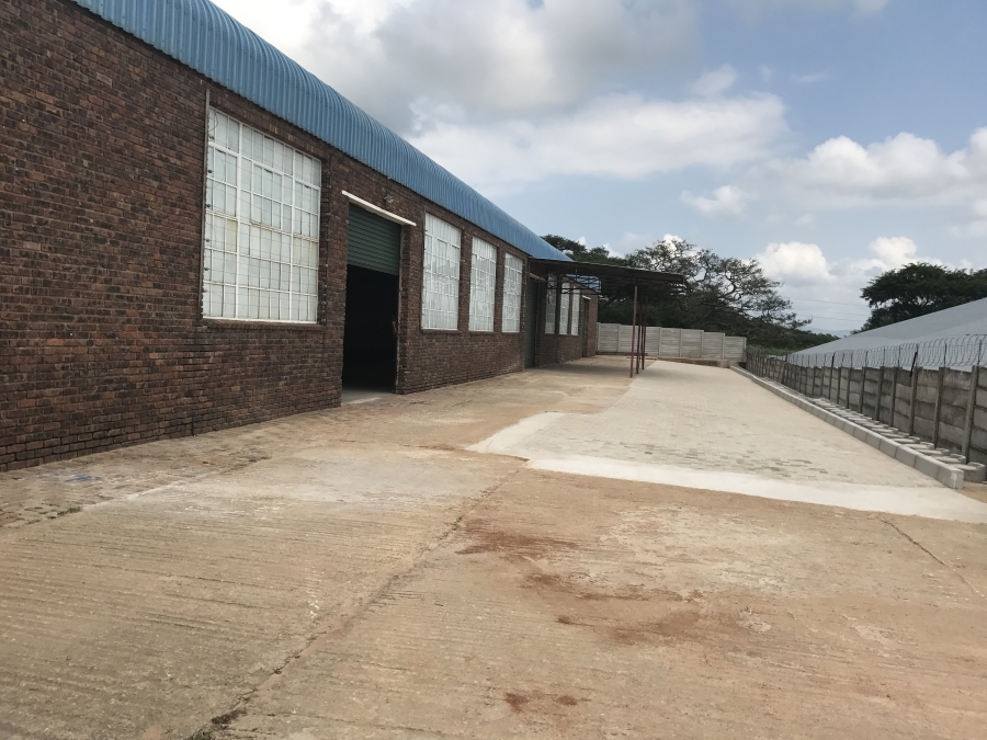 To Let commercial Property for Rent in Rocky Drift Mpumalanga