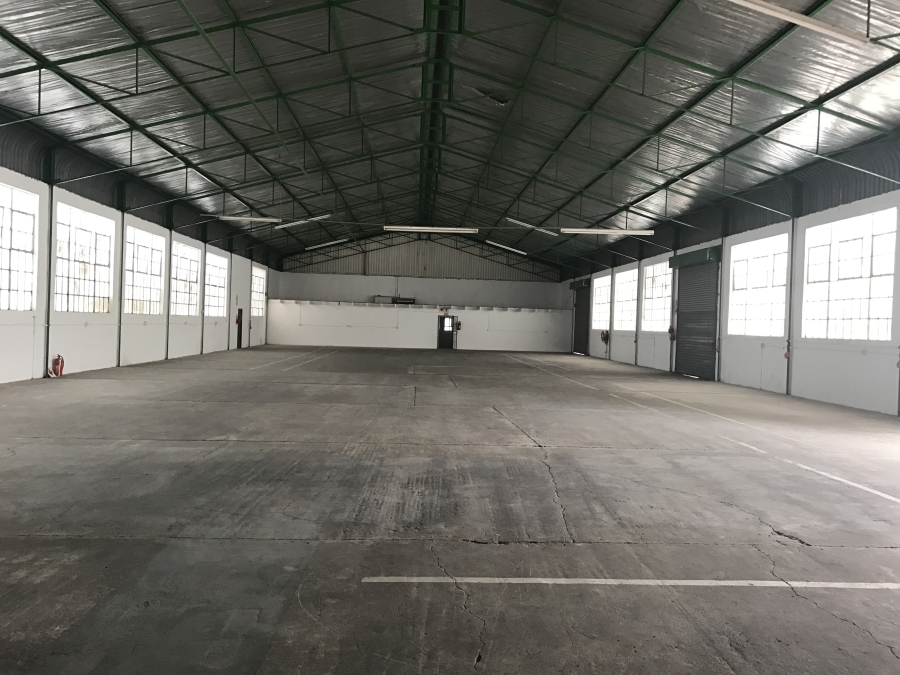 To Let commercial Property for Rent in Rocky Drift Mpumalanga
