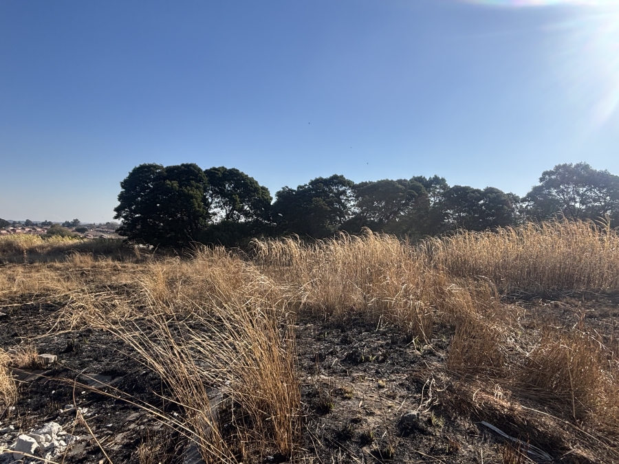 Commercial Property for Sale in Tasbet Park Ext 3 Mpumalanga