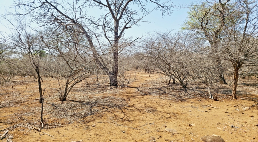 0 Bedroom Property for Sale in Marloth Park Mpumalanga