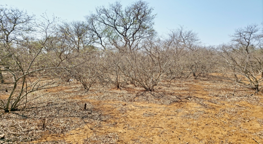 0 Bedroom Property for Sale in Marloth Park Mpumalanga