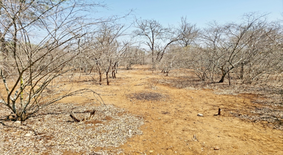 0 Bedroom Property for Sale in Marloth Park Mpumalanga