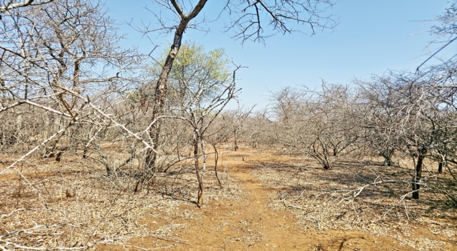 0 Bedroom Property for Sale in Marloth Park Mpumalanga