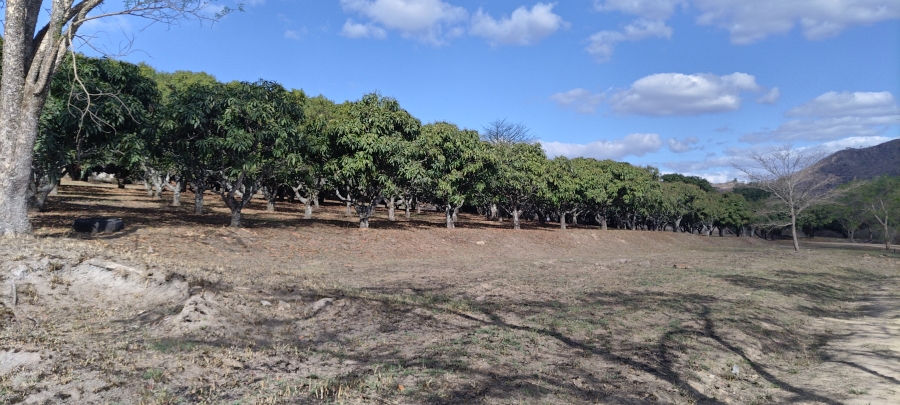 Commercial Property for Sale in Alkmaar Mpumalanga