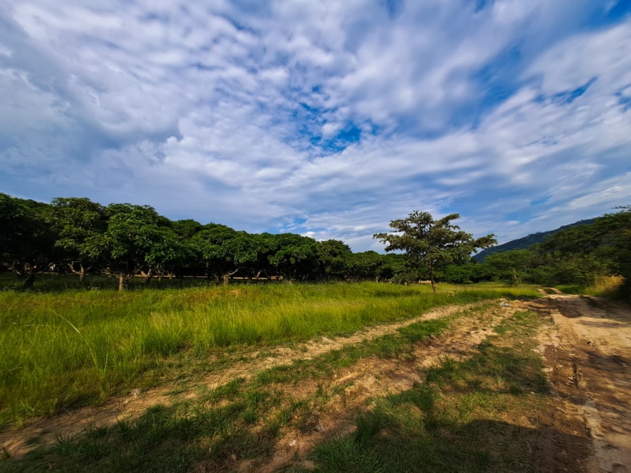 Commercial Property for Sale in Alkmaar Mpumalanga