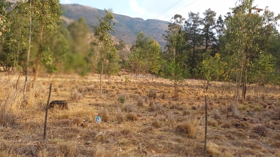 Commercial Property for Sale in Waterval Boven Mpumalanga