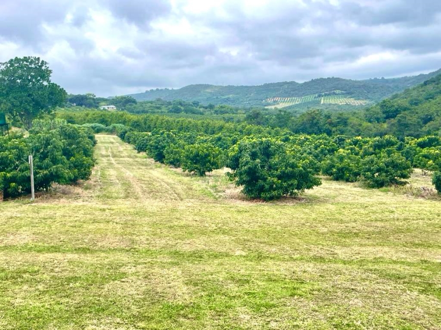 Commercial Property for Sale in Hazyview Mpumalanga
