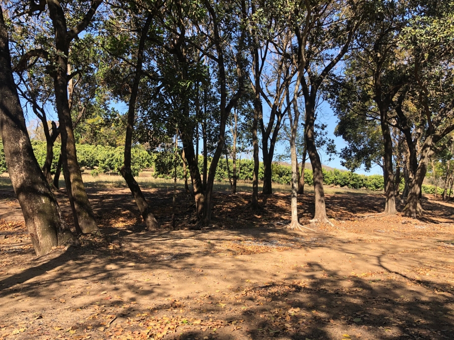 Commercial Property for Sale in Hazyview Mpumalanga