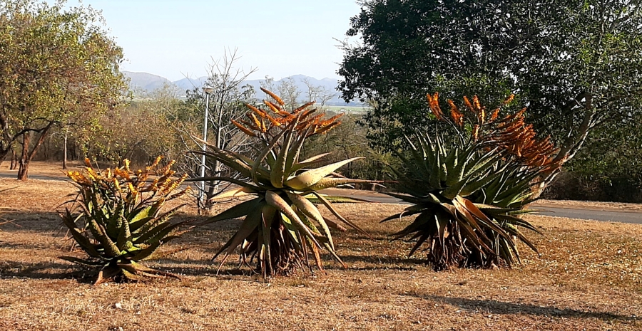 0 Bedroom Property for Sale in Malelane Mpumalanga
